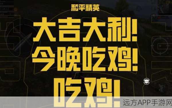 绝地求生新策略，掌握密码修改，主宰你的战场命运