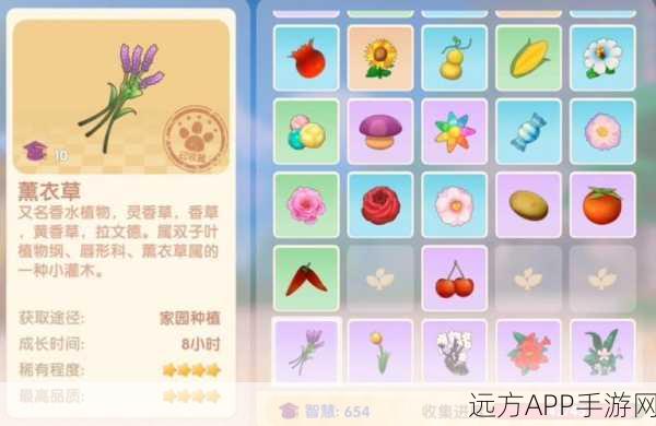 摩尔庄园揭秘，花卉棍子奇趣用途与花语大赛精彩细节