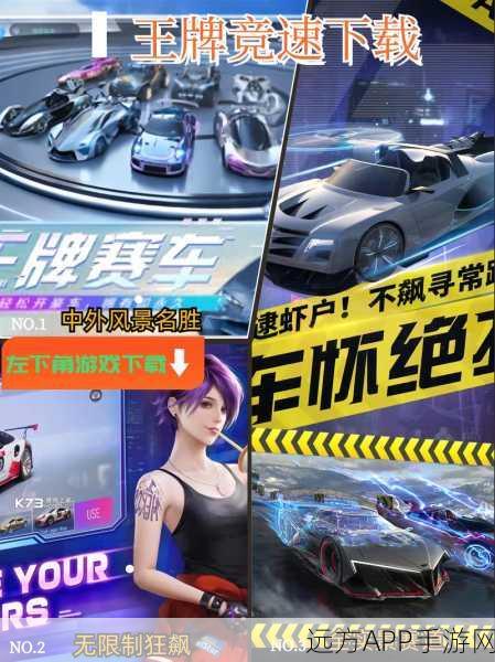 泊车高手进阶，王牌竞速深度攻略与赛事揭秘