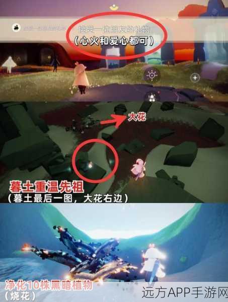 光遇深度解析,WIP背后的秘密与精彩赛事预告