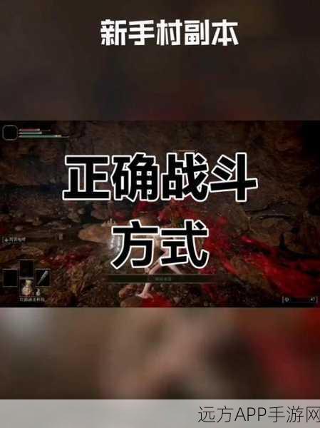 艾尔登法环战斗技巧揭秘，精准格挡的艺术