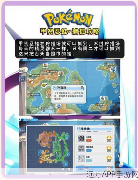 宝可梦大探险,揭秘开局能否选择甲贺忍蛙及游戏深度解析