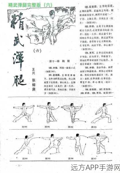 武林外传精炼秘籍,揭秘合精炼成功率与技巧深度解析