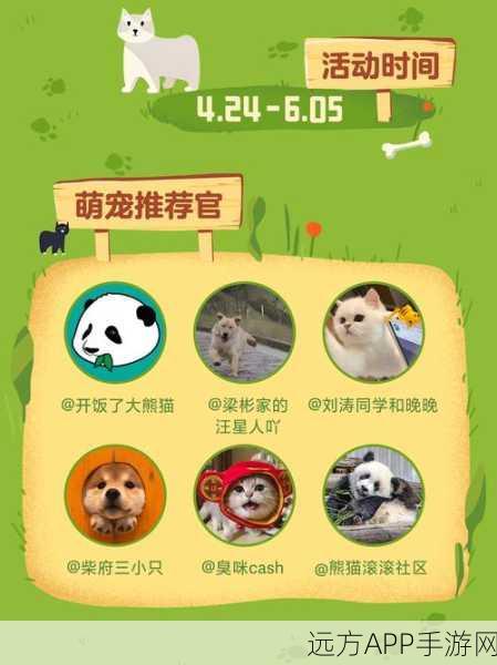 萌宠乐园，打造你的专属宠物公寓手游全攻略