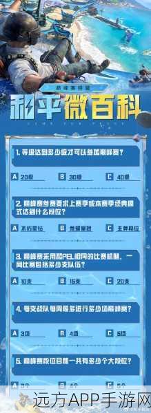和平精英巅峰赛战队退出指南，详解步骤与注意事项