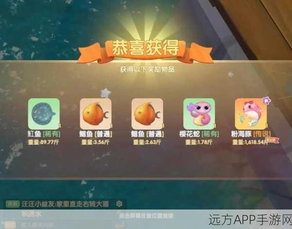 摩尔庄园钓鱼大赛,象鼻鱼捕获秘籍与参赛全攻略