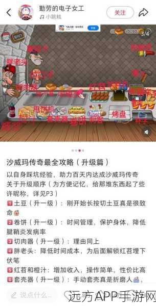 沙威玛传奇，解锁经营乐趣，揭秘冠军之路与成功秘籍
