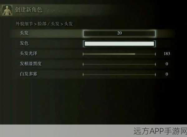 艾尔登法环,独家捏脸数据大揭秘,打造你的专属传奇角色!