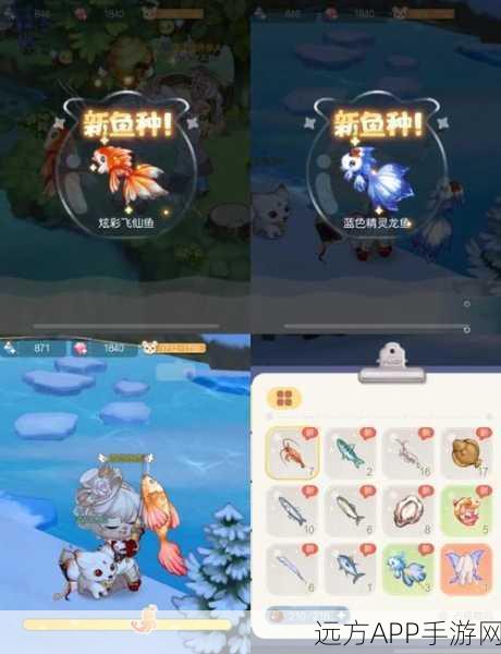 奥比岛手游,全面解锁鱼类图鉴,打造钓鱼大师之路