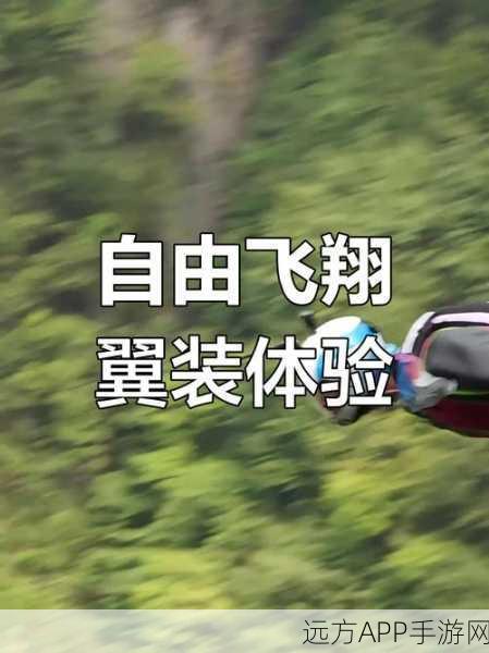 极限挑战!翼装滑翔游戏震撼上线,飞行驾驶爱好者的不二之选