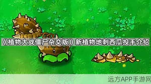 解锁地刺秘籍，植物大战僵尸高效攻略大揭秘