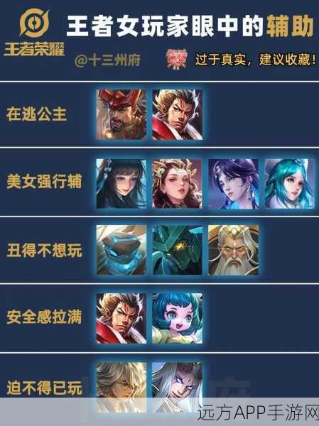 王者荣耀,揭秘辅助英雄在高端局中的制胜关键
