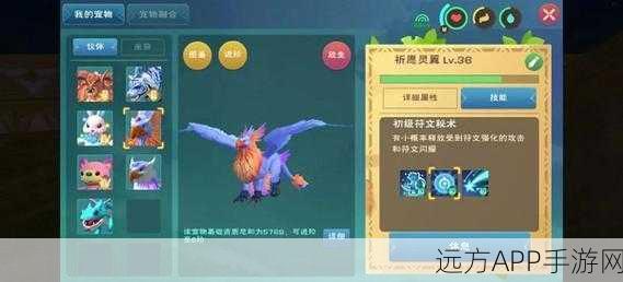 手游攻略，解锁祈愿灵翼进阶秘籍，打造顶尖创造与魔法战力