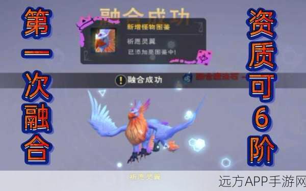 手游攻略,解锁祈愿灵翼进阶秘籍,打造顶尖创造与魔法战力
