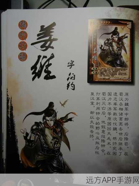 三国杀武将姜维怎么玩好国之柱石姜维使用技巧分享