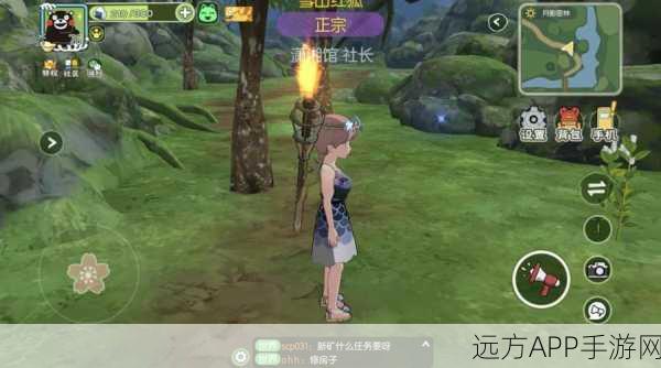 小森生活高手攻略,追风哥哥揭秘捕捉绳高效使用技巧与实战心得