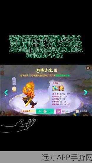 大话西游手游深度攻略,揭秘高级淬金决五行效果加成实战威力