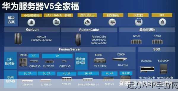深空之眼，全球服务器对比，哪个更适合你？