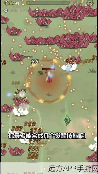 九重试炼新版本超武排名大揭秘，顶尖角色搭配与策略深度剖析