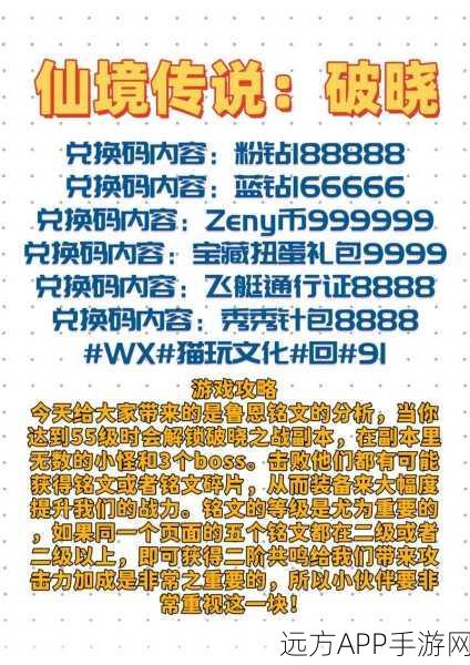 仙境传说手机版，小菜鸟起名大赛秘籍，打造独一无二响亮名号