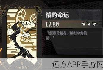 巨灵命运之战，非匿名指令抉择攻略全解析