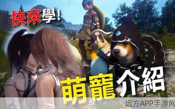 黑色沙漠手游，宠物状态切换全攻略，轻松玩转萌宠系统！
