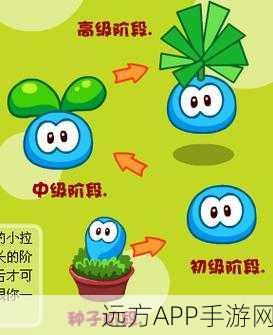 摩尔庄园手游,拉姆亲密互动全攻略,解锁趣味任务秘籍