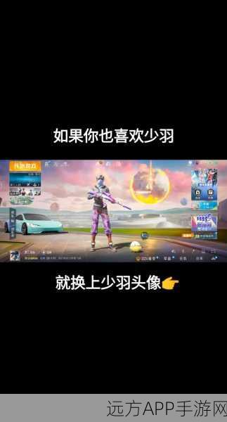 和平精英大神少羽，籍贯揭秘及赛场辉煌瞬间
