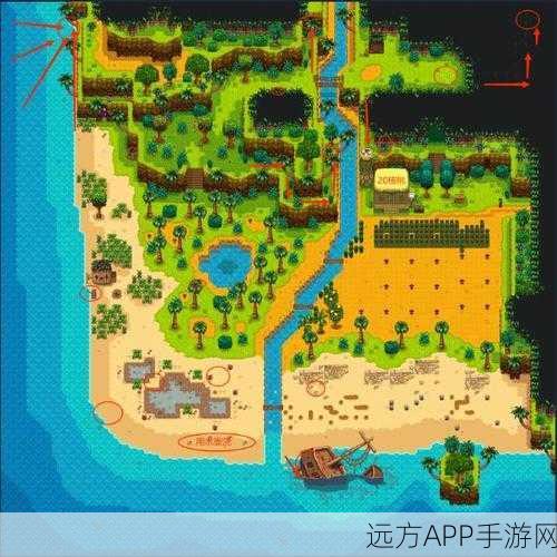 星露谷物语,姜岛探险全揭秘,解锁隐藏宝藏与奇遇