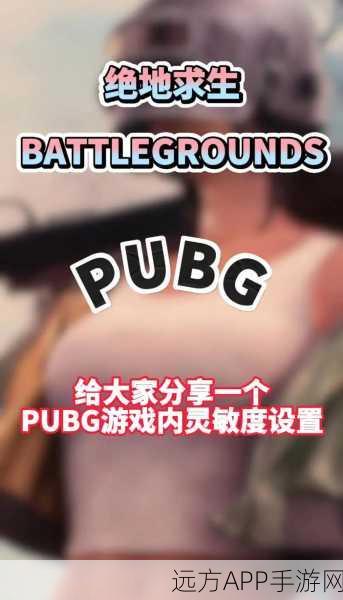绝地求生高手秘籍,精准调压枪灵敏度,稳操胜券的实战技巧