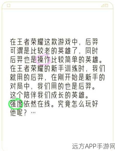 王者荣耀顶尖攻略,揭秘后羿赛场制胜技巧与实战策略