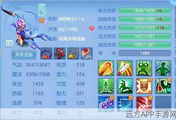 深度剖析,神武手游天宫职业四力一敏加点策略与实战应用