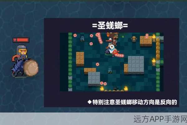 元气骑士新揭秘，倔强蜣螂的实战妙用与制胜策略深度解析