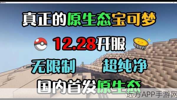 我的世界×神奇宝贝，训练师功能全揭秘，独特玩法与赛事亮点抢先看！