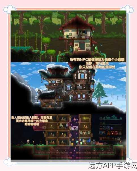 泰拉瑞亚探险大赛，揭秘平坦世界的无尽奥秘与丰厚奖励