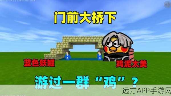 迷你世界探秘，鸡群引诱大赛策略与技巧全解析