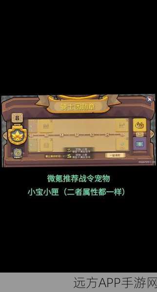 独家揭秘，元气骑士熊猫宠物解锁全攻略，萌宠隐藏技能大放送