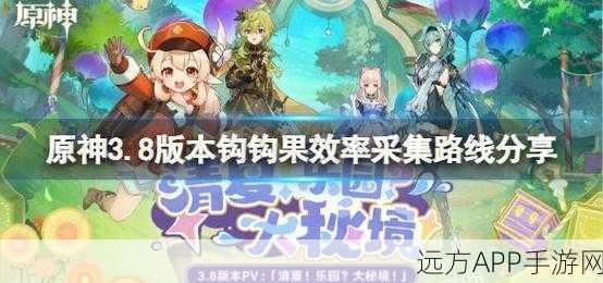 原神钩钩果高效采集攻略，速刷路线与最佳地点大揭秘