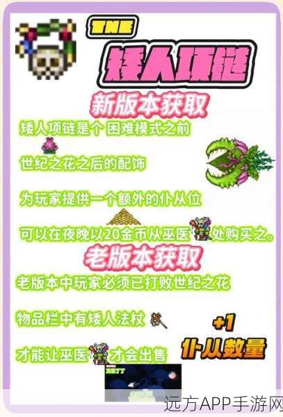 泰拉瑞亚，揭秘传送带高效获取策略，助你探险无忧