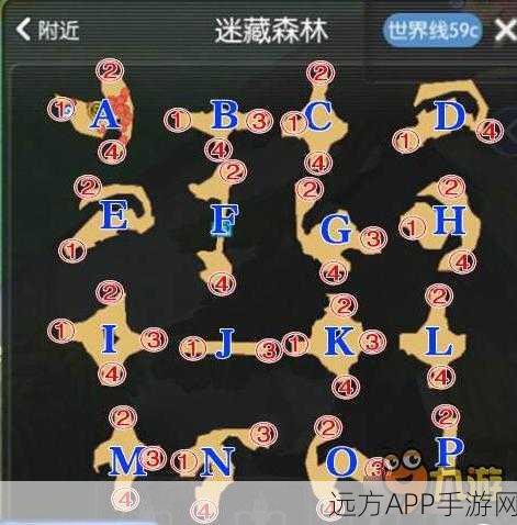 仙境传说RO，揭秘迷藏森林隐藏赛事，探索未知宝藏