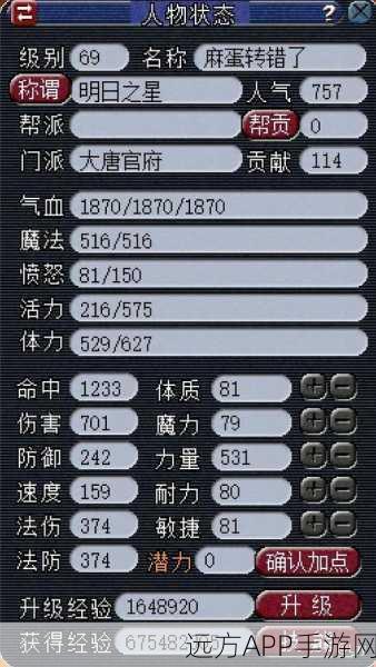 梦幻西游，69大唐精英赛荣耀征程全揭秘