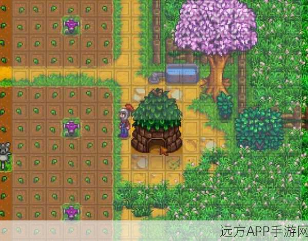 星露谷物语深度探索，揭秘女巫小屋的进入之谜