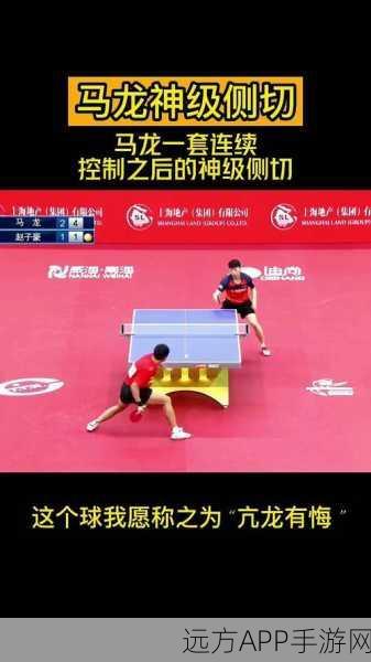 剑侠情缘手游，揭秘金翅鹏皇同伴获取途径与实战绝技