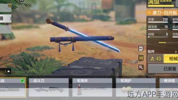 使命召唤手游唐刀副武器深度解析,获取攻略与实战应用