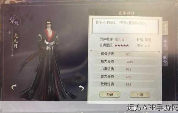 倩女幽魂相思选,独家揭秘升级秘术与精彩赛事细节