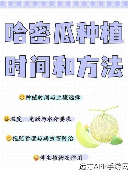 摩尔庄园哈密瓜种植攻略，解锁高效获取与丰收秘籍