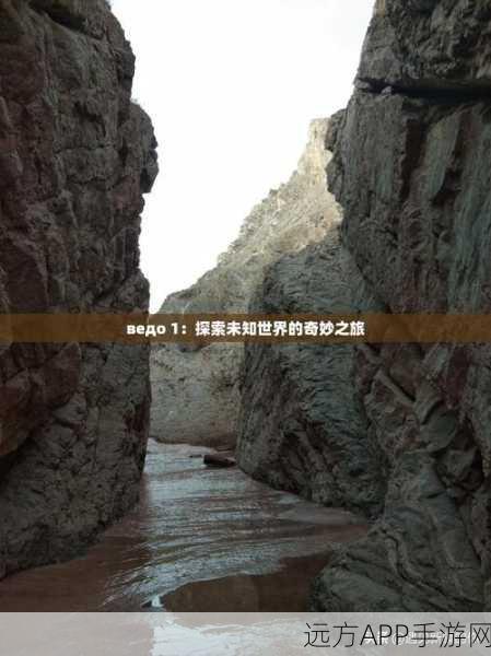 冒险新纪元，为我们而战震撼登场，探索未知世界的奇妙之旅