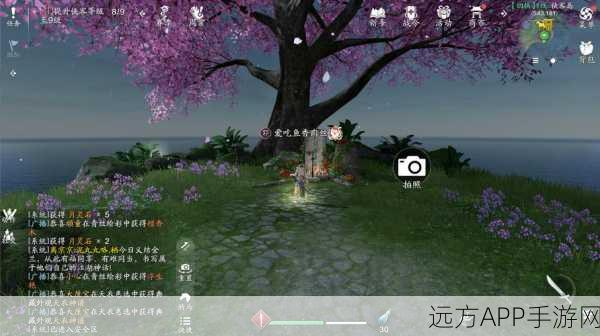 天涯明月刀手游,解锁炫酷坐骑,驰骋江湖的秘籍大公开!