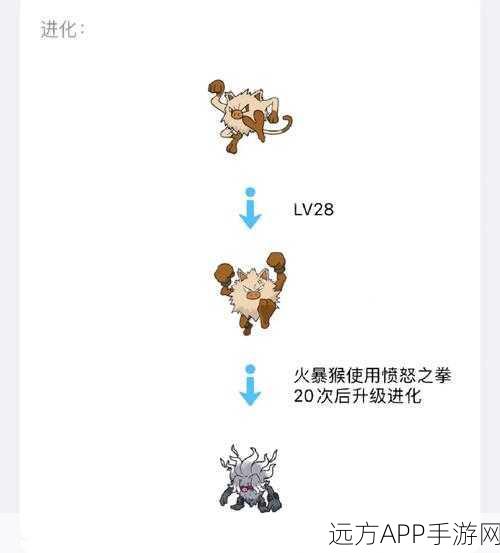 口袋妖怪全新探索，揭秘最强进化神兽的隐秘分布与竞技策略