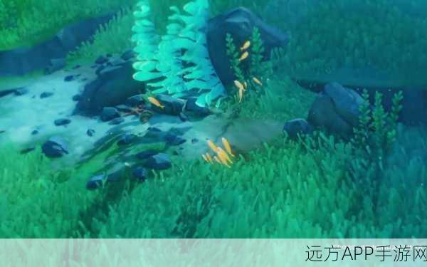 原神枫丹水淹奇观，第三视角下探索水下世界的秘密